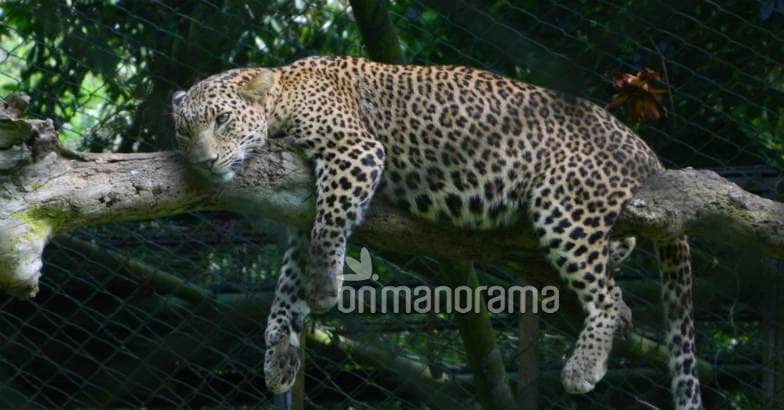 Places to go out with your children in Thiruvanathapuram Places to go out with your children in Thiruvanathapuram