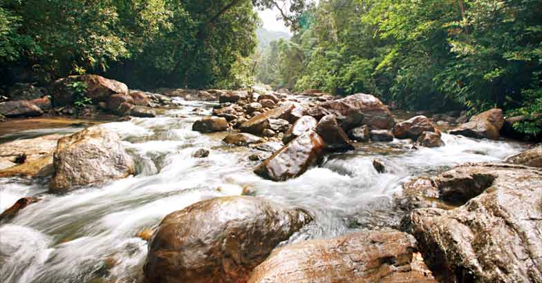 Kallar stream Kallar stream