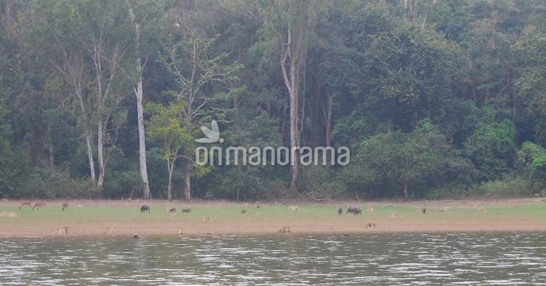 River Kabini River Kabini
