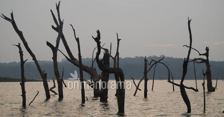 River Kabini River Kabini