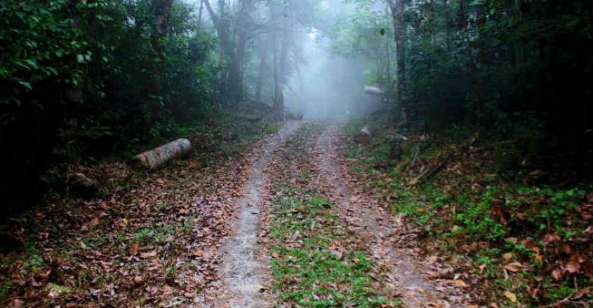 Thollayiram is Wayanad best kept secret Thollayiram is Wayanad best kept secret
