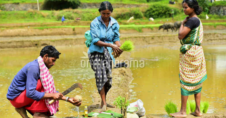 Chingam is here: A time to start fresh. Photo: Rahul R Pattom