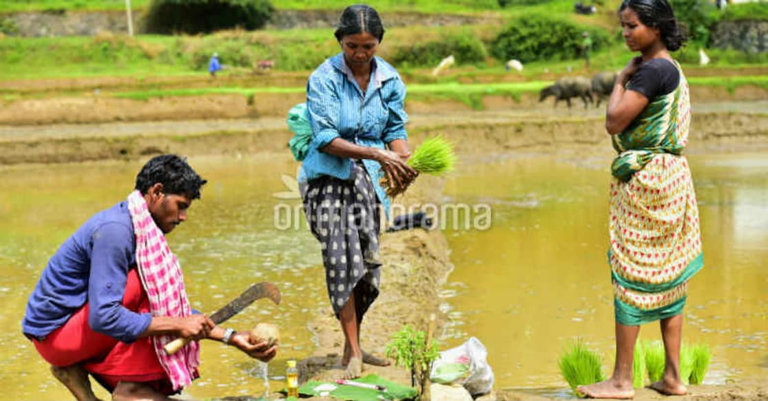 Chingam is here: A time to start fresh Chingam is here: A time to start fresh. Photo: Rahul R Pattom