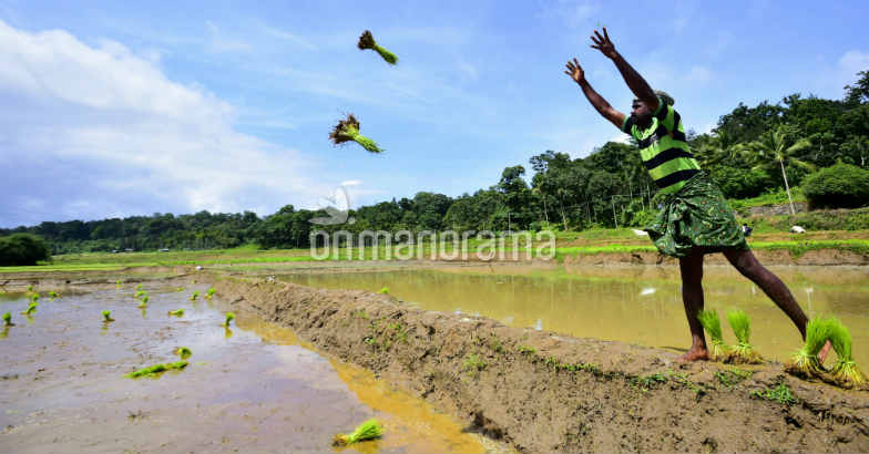 Chingam is here: A time to start fresh Chingam is here: A time to start fresh