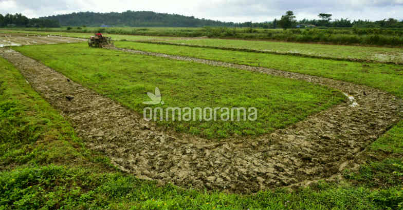 Chingam is here: A time to start fresh Chingam is here: A time to start fresh