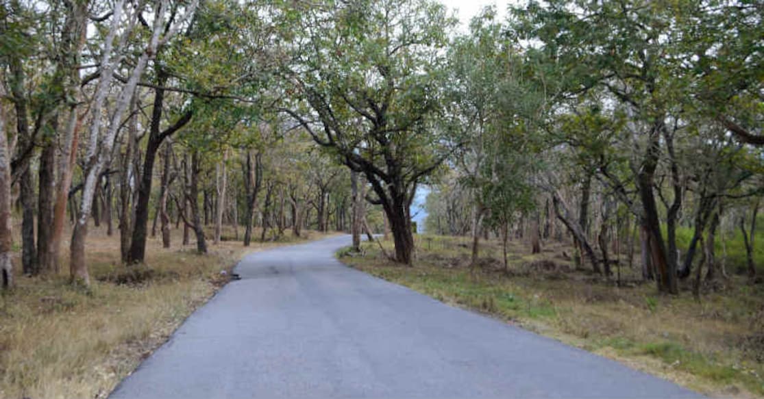 bavali