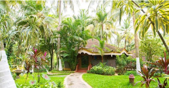 Visiting Palakkad? Here's the top 5 places you may stay