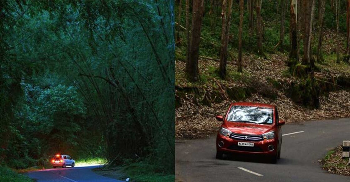 Enchant the driver in you: Top 7 driving routes in Kerala
