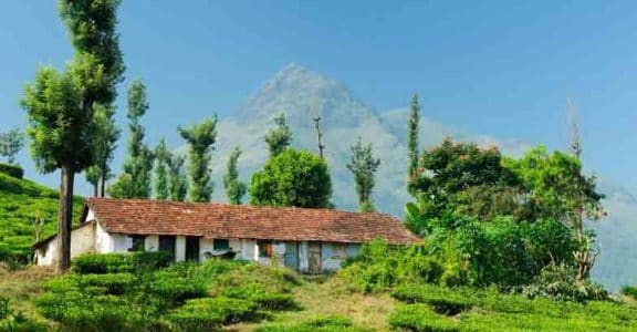 Wayanad Wayanad