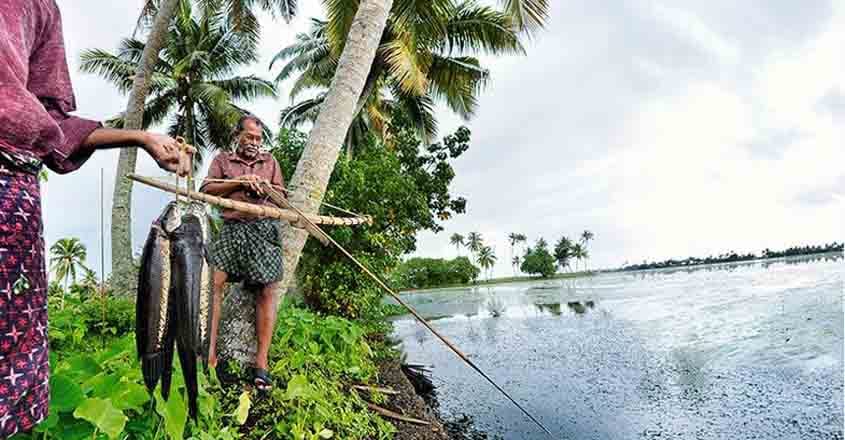 kuttanad-trip kuttanad-trip