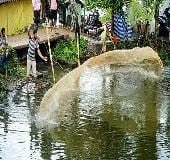 Alappuzha - where the sea cuddles up to the backwaters