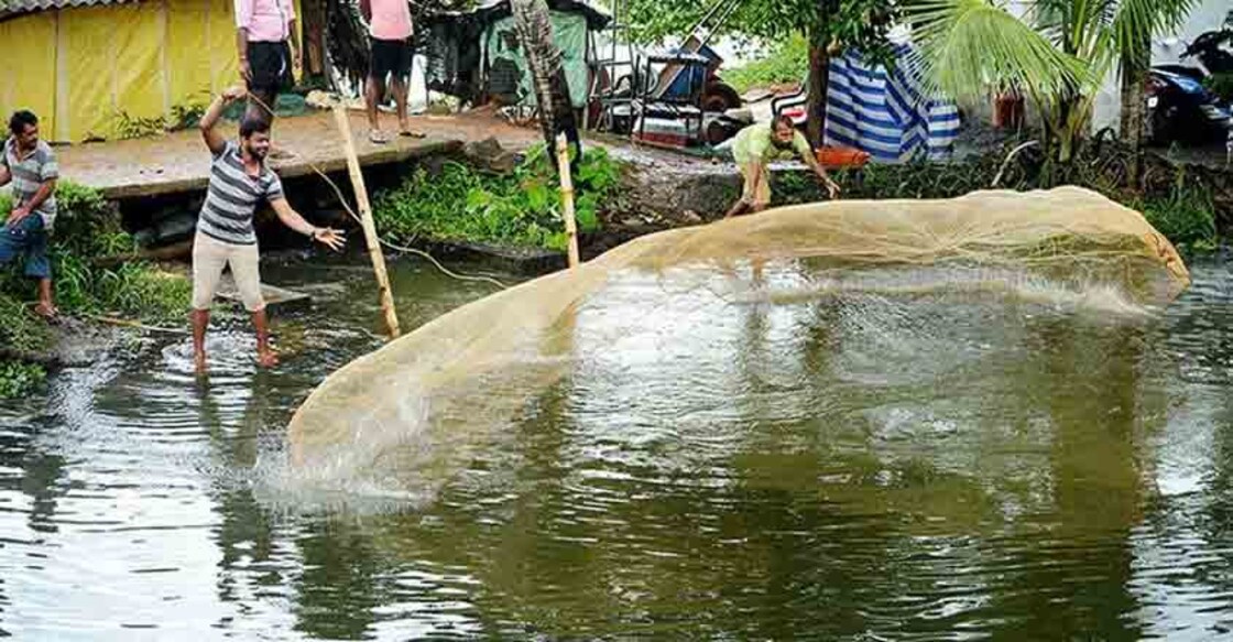 kuttanad-trip1