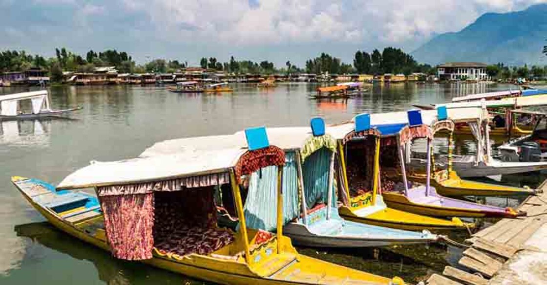 Shikara Boats on Dal Lake, Srinagar, Kashmir, India