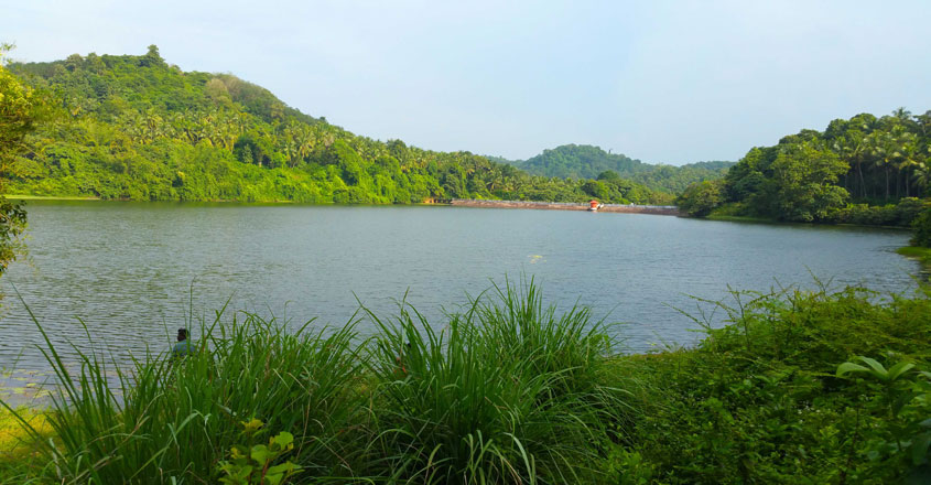 A One Day Picnic To Three Dams In Thrissur Kerala Travel Travel Onmanorama