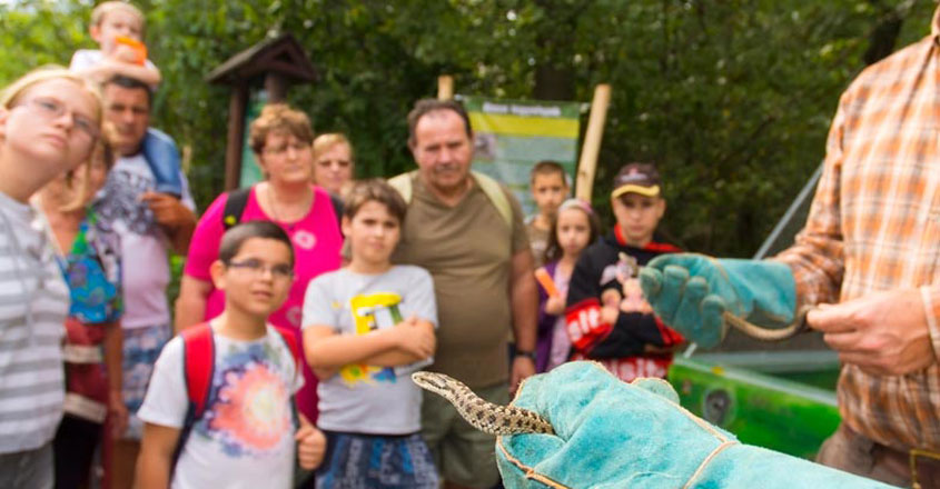snake-park