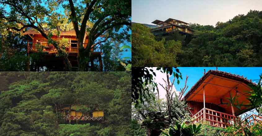 tree-house-resorts-in-india tree-house-resorts-in-india