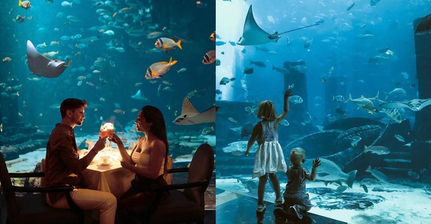 the-atlantis-palm-1 the-atlantis-palm-1