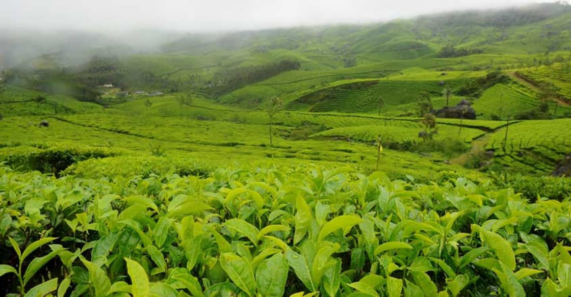 A journey through the Indian villages