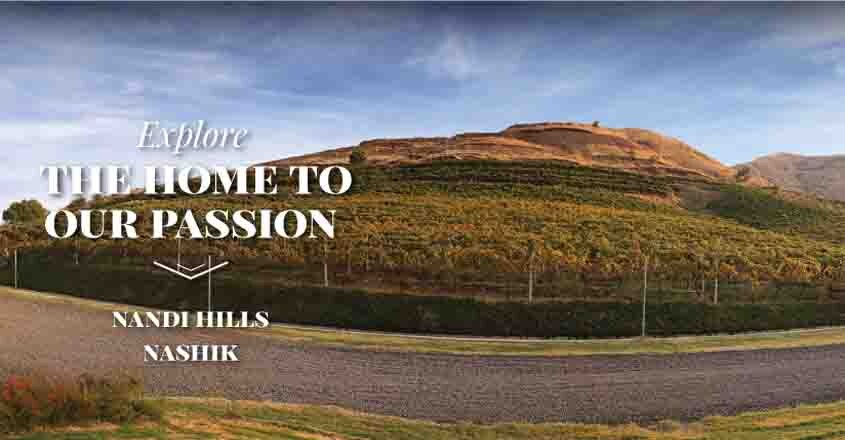 vineyards-nandi-hills vineyards-nandi-hills