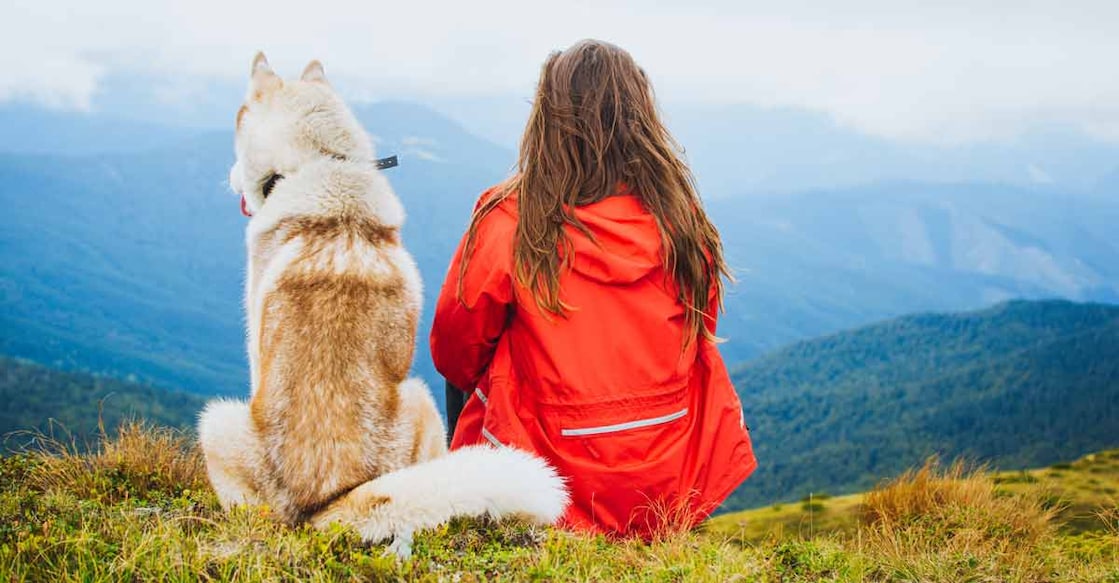 Take a 'paw'se and enjoy 'purr'fect staycation | Shutterstock