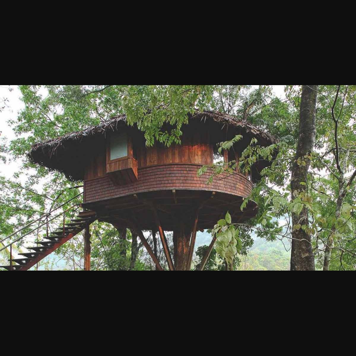 Tree houses that offer a real feel of the forest | Travel ...