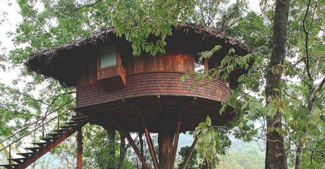 Tree houses that offer a real feel of the forest 