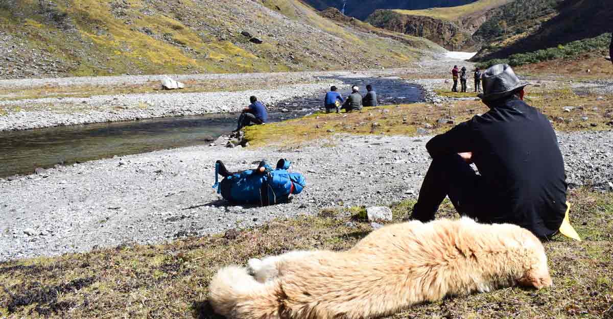 mountain-dog-travel mountain-dog-travel