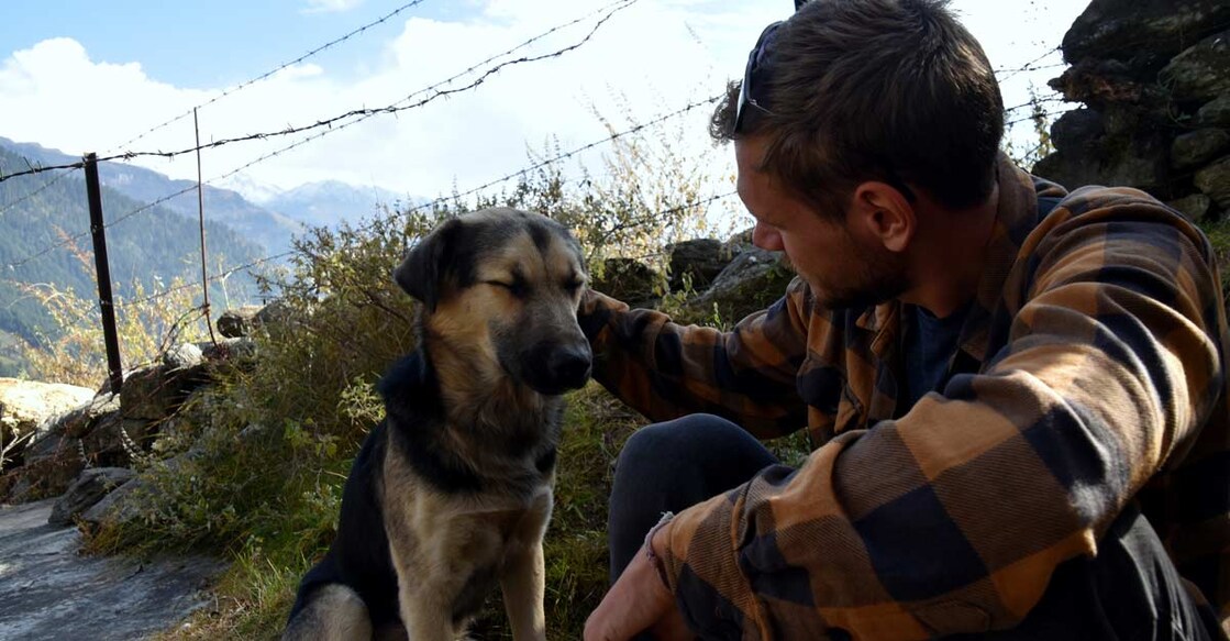 How 'ghost dogs' add to the mystery of the mountains