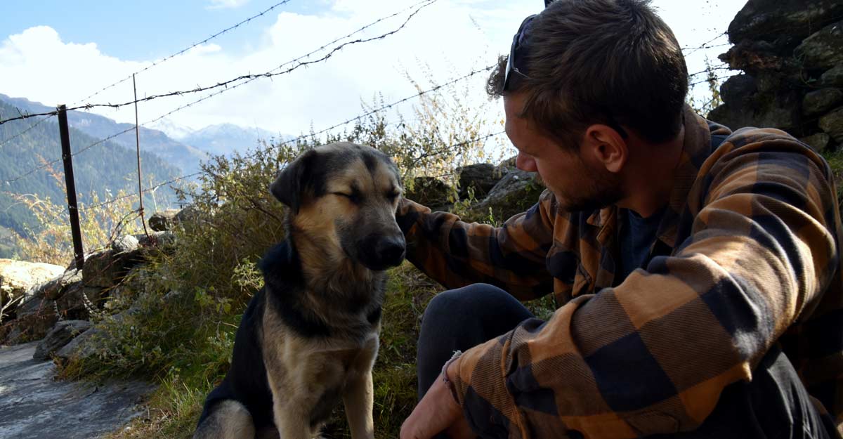 How 'ghost dogs' add to the mystery of the mountains