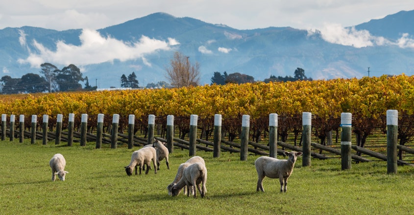 marlborough marlborough