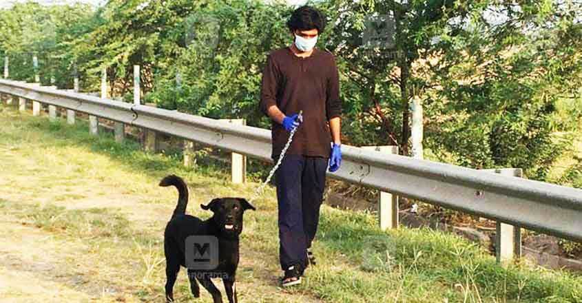 sakhi-story-dog sakhi-story-dog
