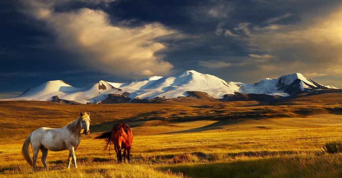 mongolia