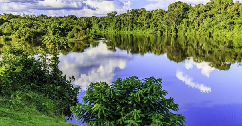 palumeu-surinam palumeu-surinam