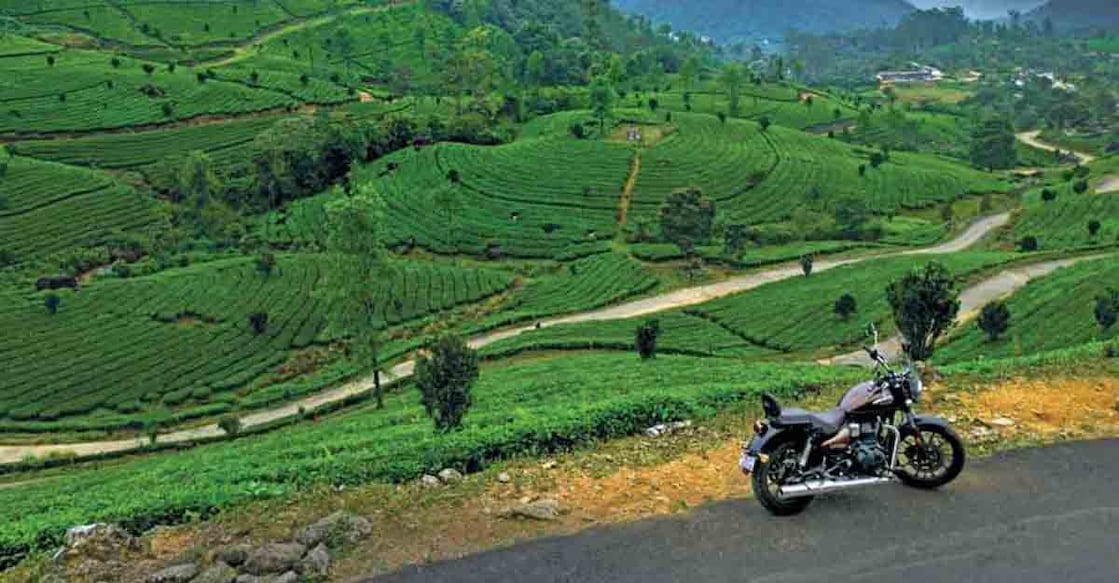 Lakshmi Estate, Munnar 