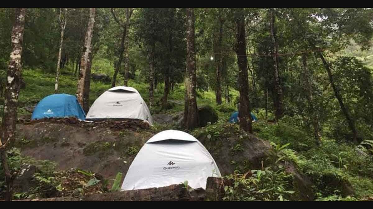 Are Safety Measures In Place For Tent Camping In The Forests Of Kerala Onmanorama Travel