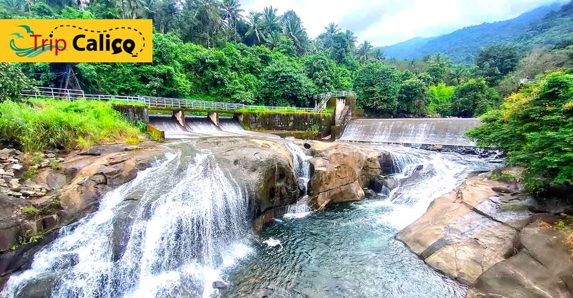 Thusharagiri waterfalls: The promised land of nature lovers