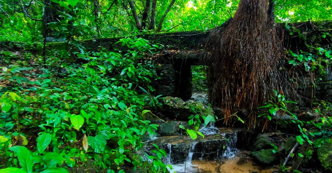 Vanaparvam Biodiversity Park | V Mithran