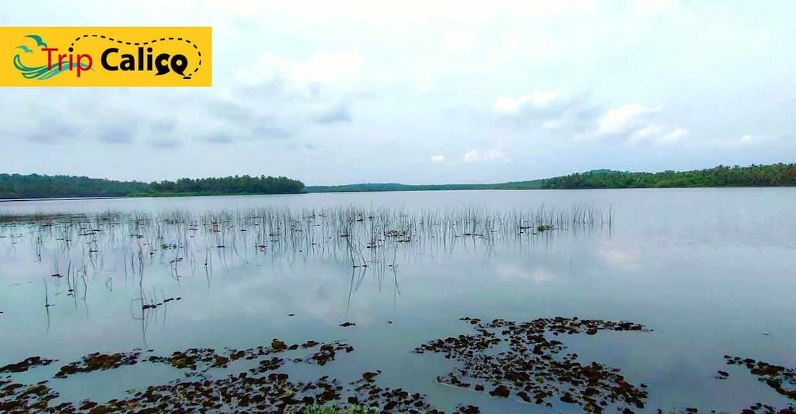 Muchukunnu beckons travellers with hookahs, virgin forests and much more Muchukunnu beckons travellers with hookahs, virgin forests and much more