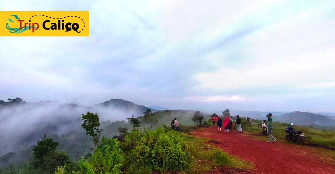 Misty Vazhayur hills in Malappuram is an epitome of natural beauty