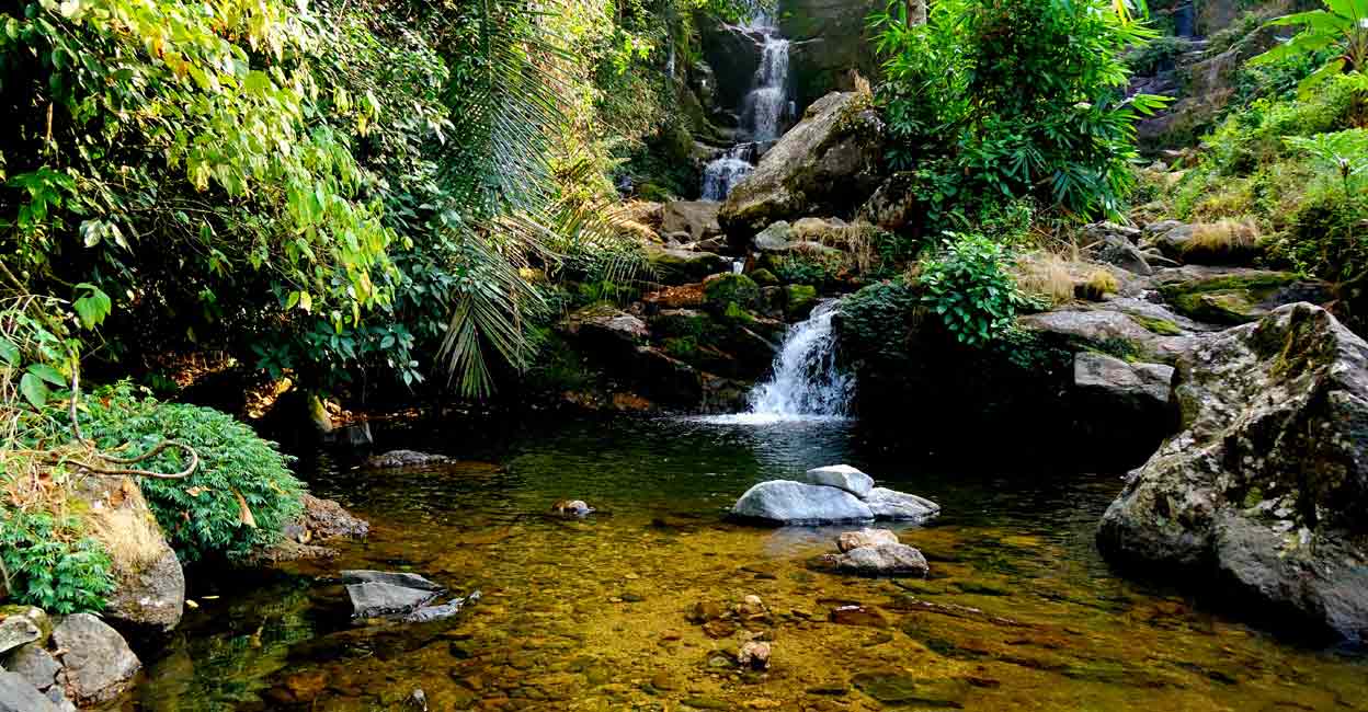 mankulam-munnar A waterfall in Mankulam near Munnar in Kerala's Idukki district. Photo: bibinchirackal/Shutterstock