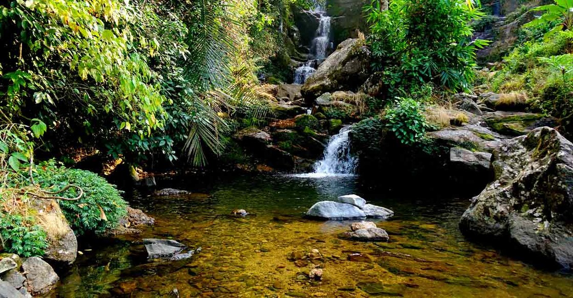 A waterfall in Mankulam near Munnar in Kerala's Idukki district. Photo: bibinchirackal/Shutterstock