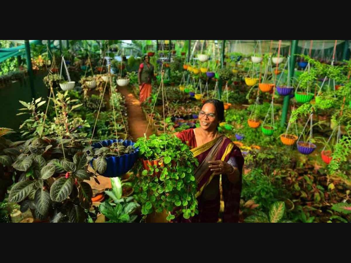 Malabar Botanical Garden A Wondrous World Of Green Home To The Most Amazing Plants In Asia