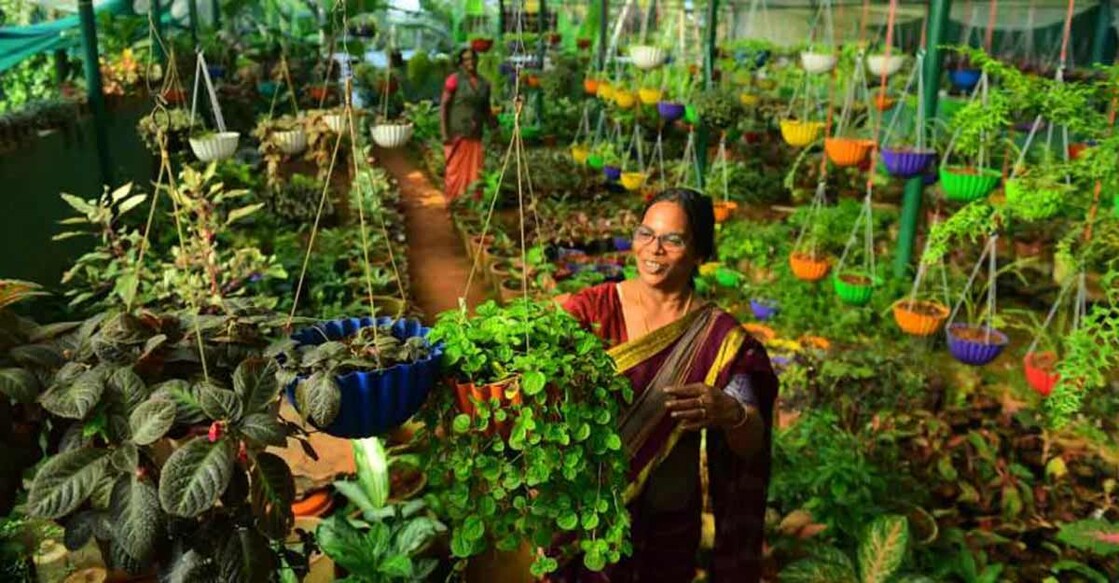 Malabar Botanical Garden: A wondrous world of green home to the most amazing plants in Asia