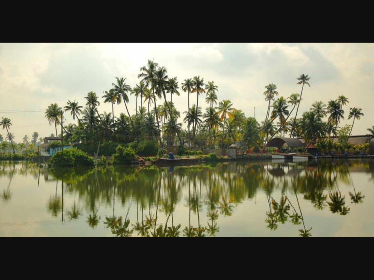 Kumbalangi Backwaters A Must Visit Place in Kochi