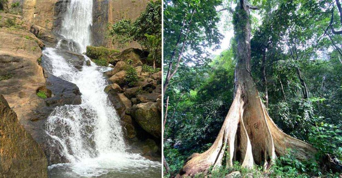 Kottayam's Aruvikkal waterfalls is the best weekend getaway