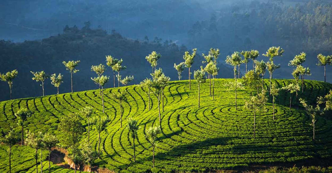 munnar