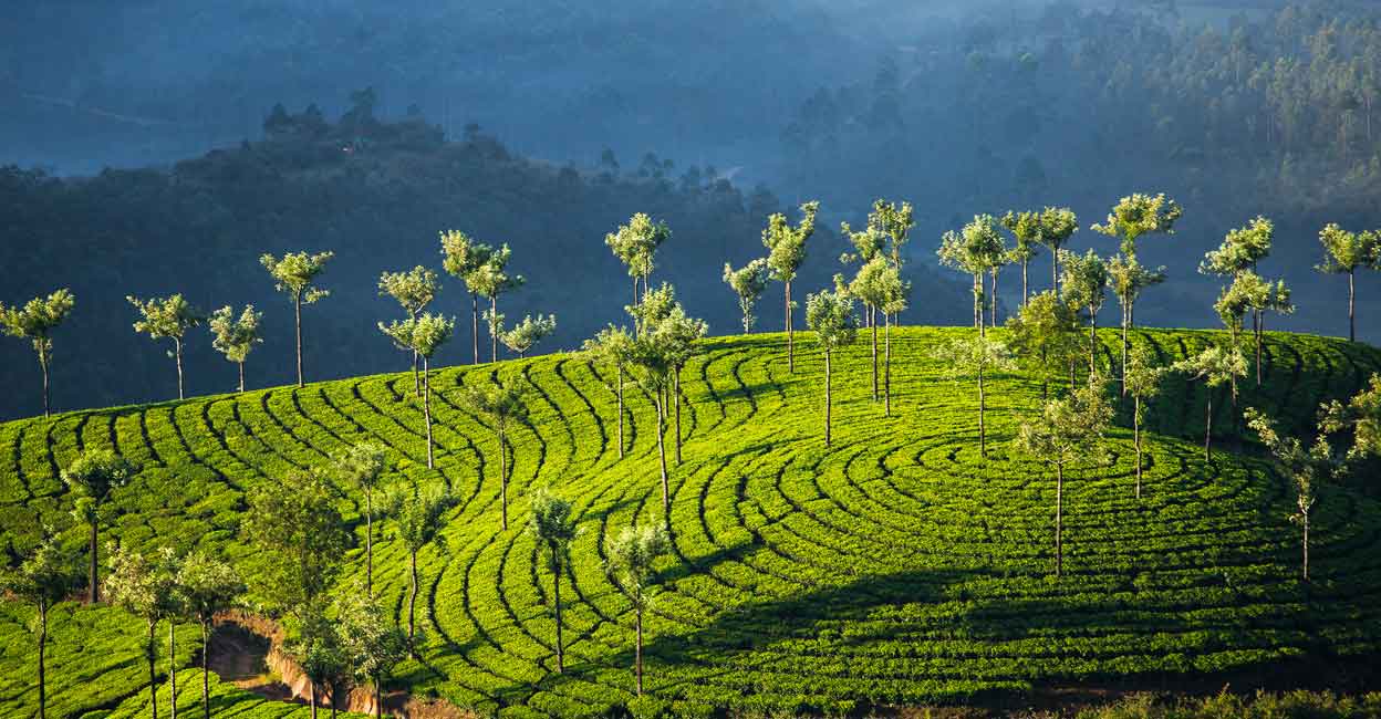 munnar