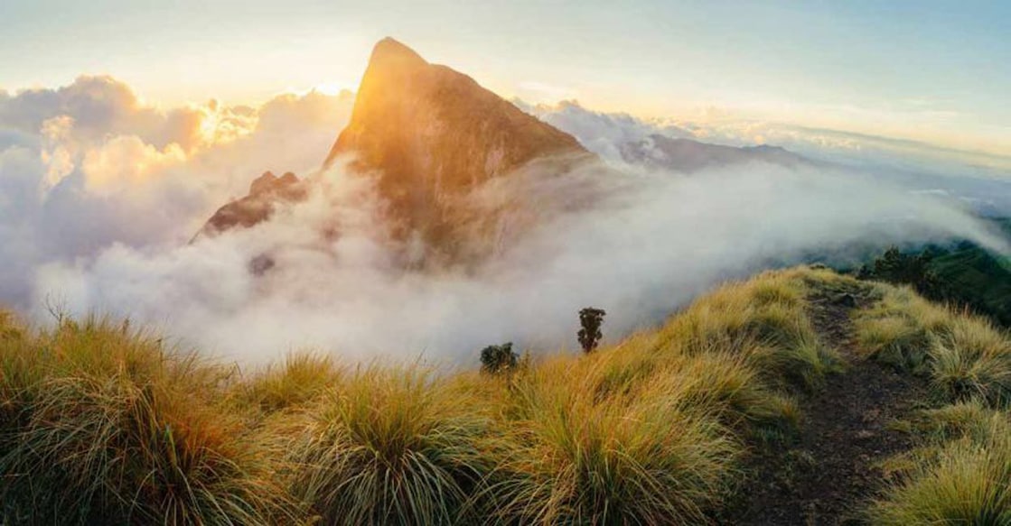 Meesapulimala peak beckons trekkers with open arms 