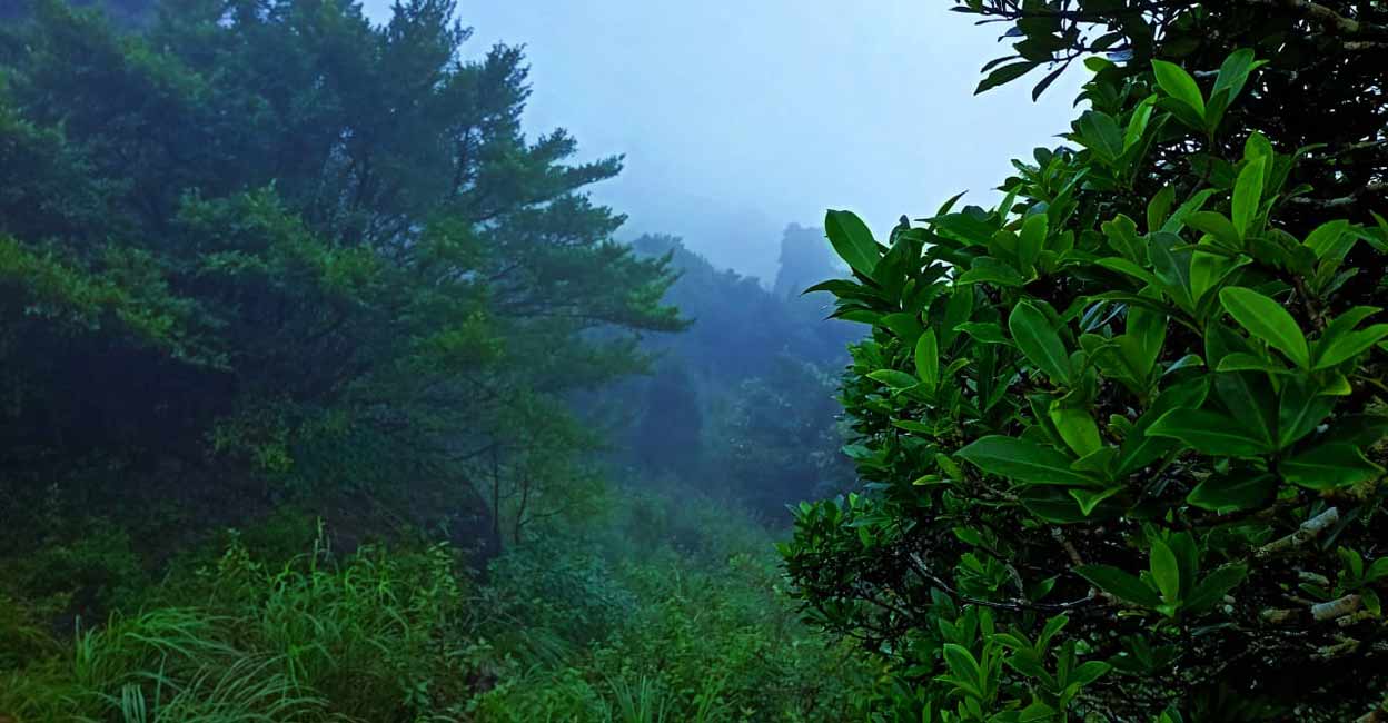 ponmudi Ponmudi. Photo: Manorama