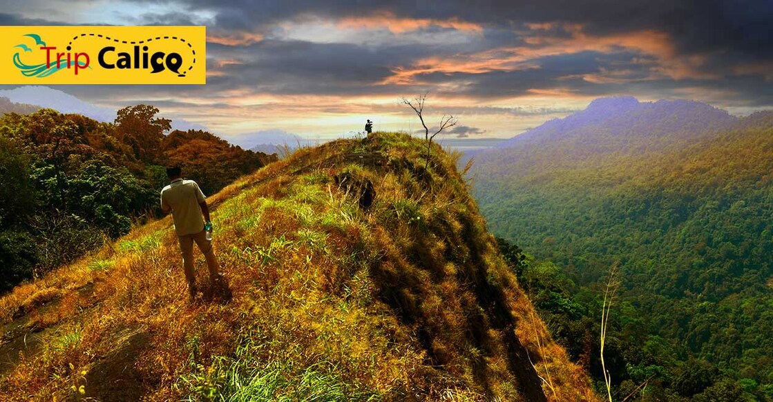 Thenpara trekking. Photo: Manorama